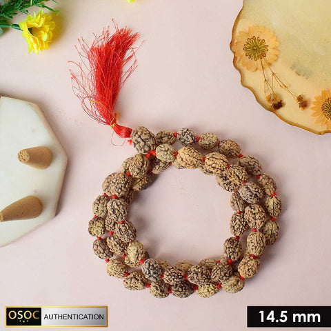 3 Mukhi Kantha Rudraksha mala made with three-faced Rudraksha beads, symbolizing purification and inner strength, ideal for spiritual growth and meditation. India’s Premium Jap Mala Store - www.satvikstore.in