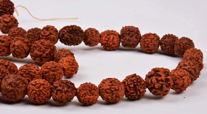 Panchmukhi Rudraksh Mala (108+1Beads) Puja Store Online Pooja Items Online Puja Samagri Pooja Store near me www.satvikstore.in